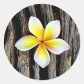 Hawaiian Plumeria bruiloft uitnodiging Stickers (Voorkant)