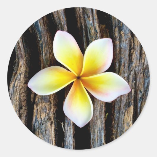 Hawaiian Plumeria bruiloft uitnodiging Stickers (Voorkant)