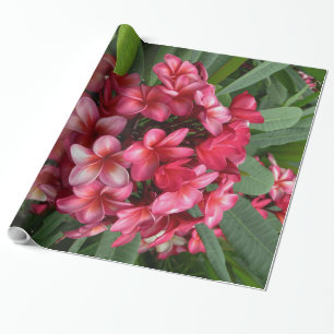 Hawaiian Plumeria Cadeaupapier