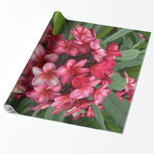 Hawaiian Plumeria Cadeaupapier (Uitgerold)