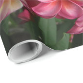 Hawaiian Plumeria Cadeaupapier (Rol Hoek)