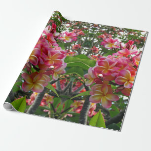 Hawaiian Plumeria Cadeaupapier