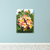 Hawaiian Plumeria Canvas Afdruk (Insitu (Houten vloer))