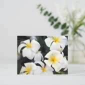 Hawaiian Plumeria Cascade Briefkaart (Staand voorkant)