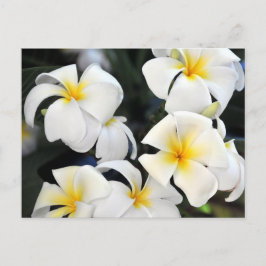 Hawaiian Plumeria Cascade Briefkaart