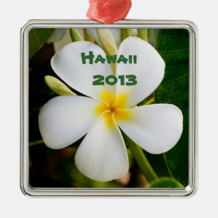 Hawaiian Plumeria Flower Keepomwille Metalen Ornament