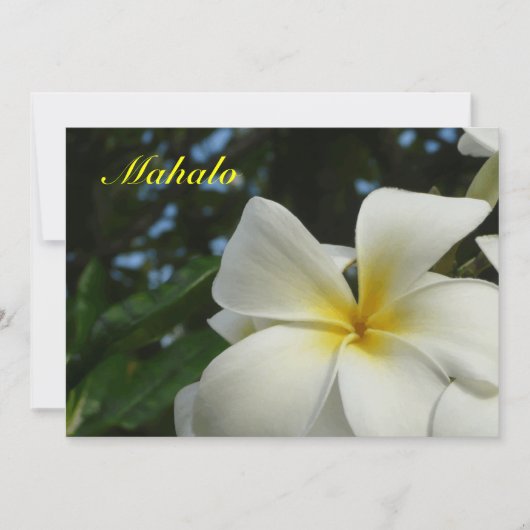Hawaiian Plumeria Flower Sympathie Hartelijk dank Bedankkaart (Voorkant)