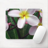 Hawaiian Plumeria Flowers Muismat (Met muis)