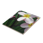 Hawaiian Plumeria Flowers Tegeltje (Zijkant)