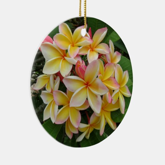 Hawaiian Plumeria Keramisch Ornament (Rechts)