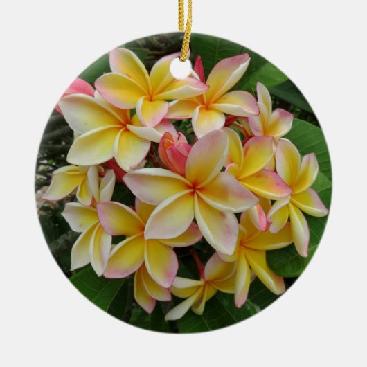 Hawaiian Plumeria Keramisch Ornament (Voorkant)