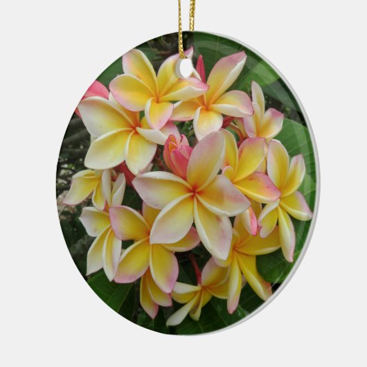Hawaiian Plumeria Keramisch Ornament (Links)