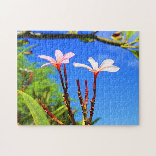 Hawaiian Plumeria Legpuzzel (Horizontaal)
