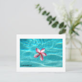 Hawaiian Plumeria Postcard Briefkaart (Staand voorkant)