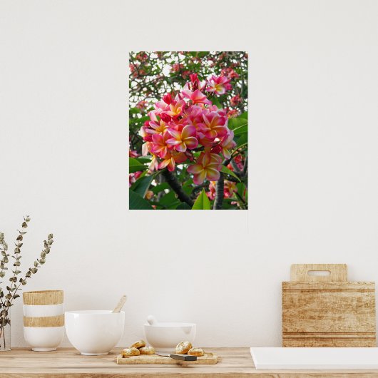 Hawaiian Plumeria Poster (Keuken)