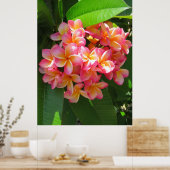 Hawaiian Plumeria Poster (Keuken)
