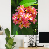 Hawaiian Plumeria Poster (Thuiskantoor)