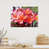 Hawaiian Plumeria Poster (Keuken)
