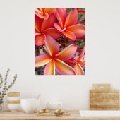Hawaiian Plumeria Poster (Keuken)