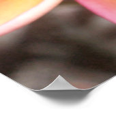 Hawaiian Plumeria Poster (Hoek)