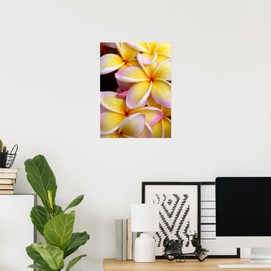 Hawaiian Plumeria Poster (Thuiskantoor)