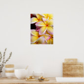 Hawaiian Plumeria Poster (Keuken)