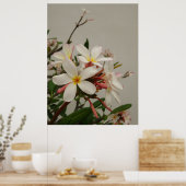 Hawaiian Plumeria Poster (Keuken)