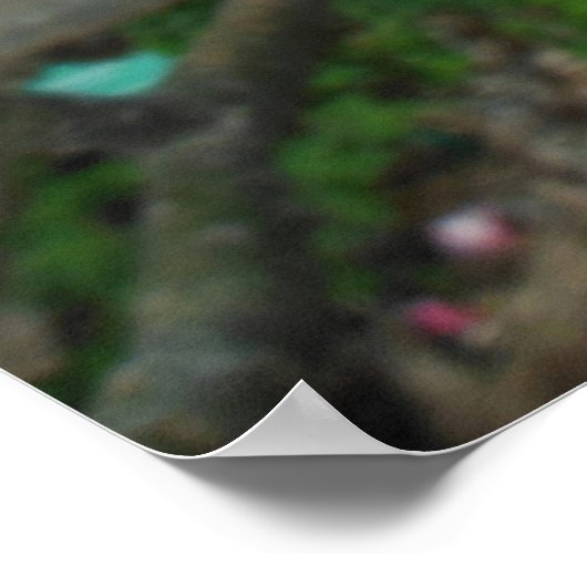 Hawaiian Plumeria Poster (Hoek)