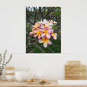 Hawaiian Plumeria Poster (Keuken)