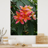Hawaiian Plumeria Poster (Keuken)