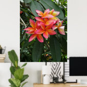 Hawaiian Plumeria Poster (Thuiskantoor)
