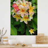 Hawaiian Plumeria Poster (Keuken)