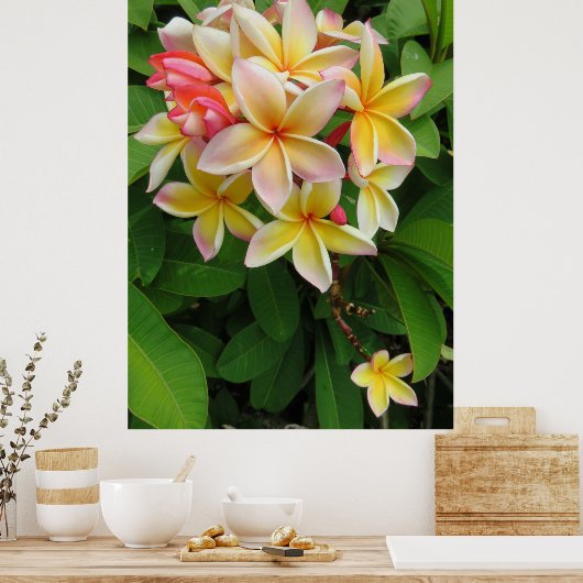 Hawaiian Plumeria Poster (Keuken)
