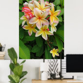 Hawaiian Plumeria Poster (Thuiskantoor)