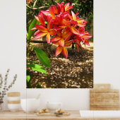 Hawaiian Plumeria Poster (Keuken)