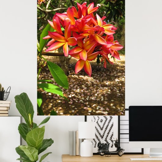 Hawaiian Plumeria Poster (Thuiskantoor)