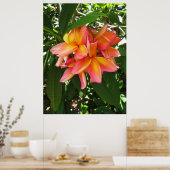 Hawaiian Plumeria Poster (Keuken)