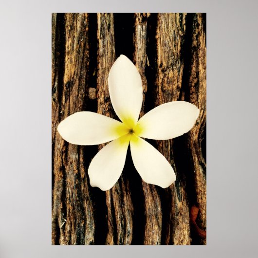 Hawaiian Plumeria Statement Piece Poster (Voorkant)