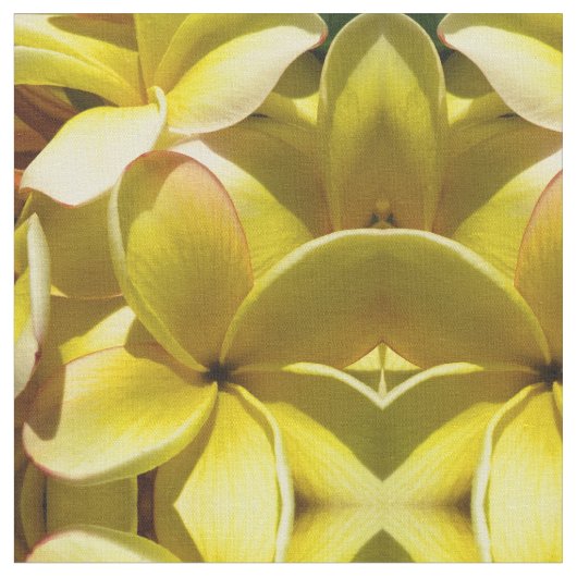 Hawaiian Plumeria Stof (Close Up)