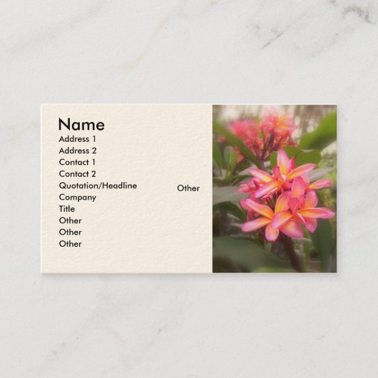Hawaiian Plumeria Visitekaartje (Voorkant)