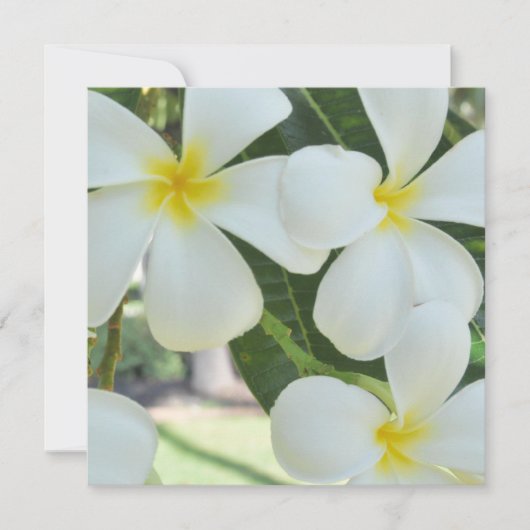 Hawaiian Plumeria Wedding Invitation Kaart (Voorkant)