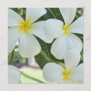 Hawaiian Plumeria Wedding Invitation Kaart