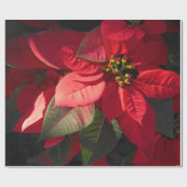 Hawaiian Poinsettia Cadeaupapier (Vlak)
