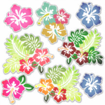 Hawaiian Print