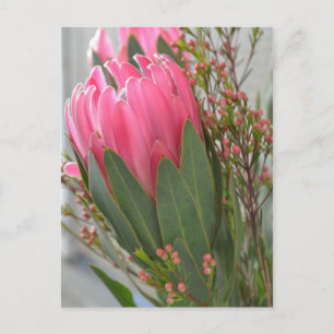 Hawaiian Protea Flowers Briefkaart