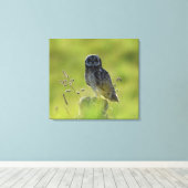 Hawaiian Pueo Canvas Afdruk (Insitu (Houten vloer))