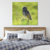 Hawaiian Pueo Canvas Afdruk (Insitu (Slaapkamer))