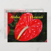 Hawaiian Red Anthurium Flowers Briefkaart (Voorkant / Achterkant)