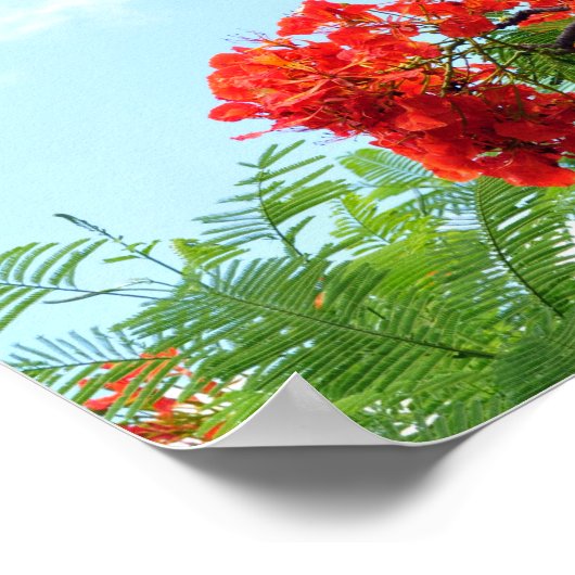 Hawaiian Red Floral print (Hoek)