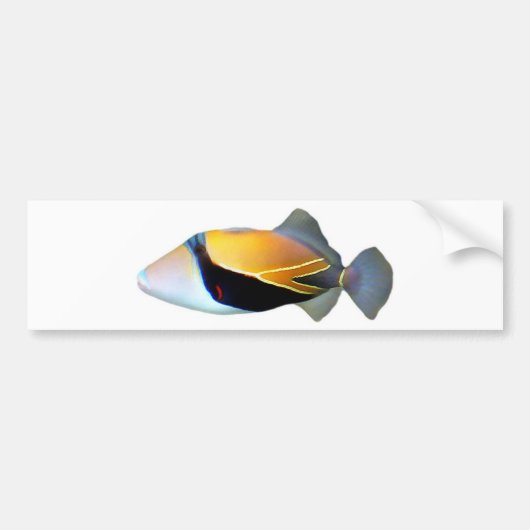 Hawaiian Reef Trigger Fish Bumpersticker (Voorkant)